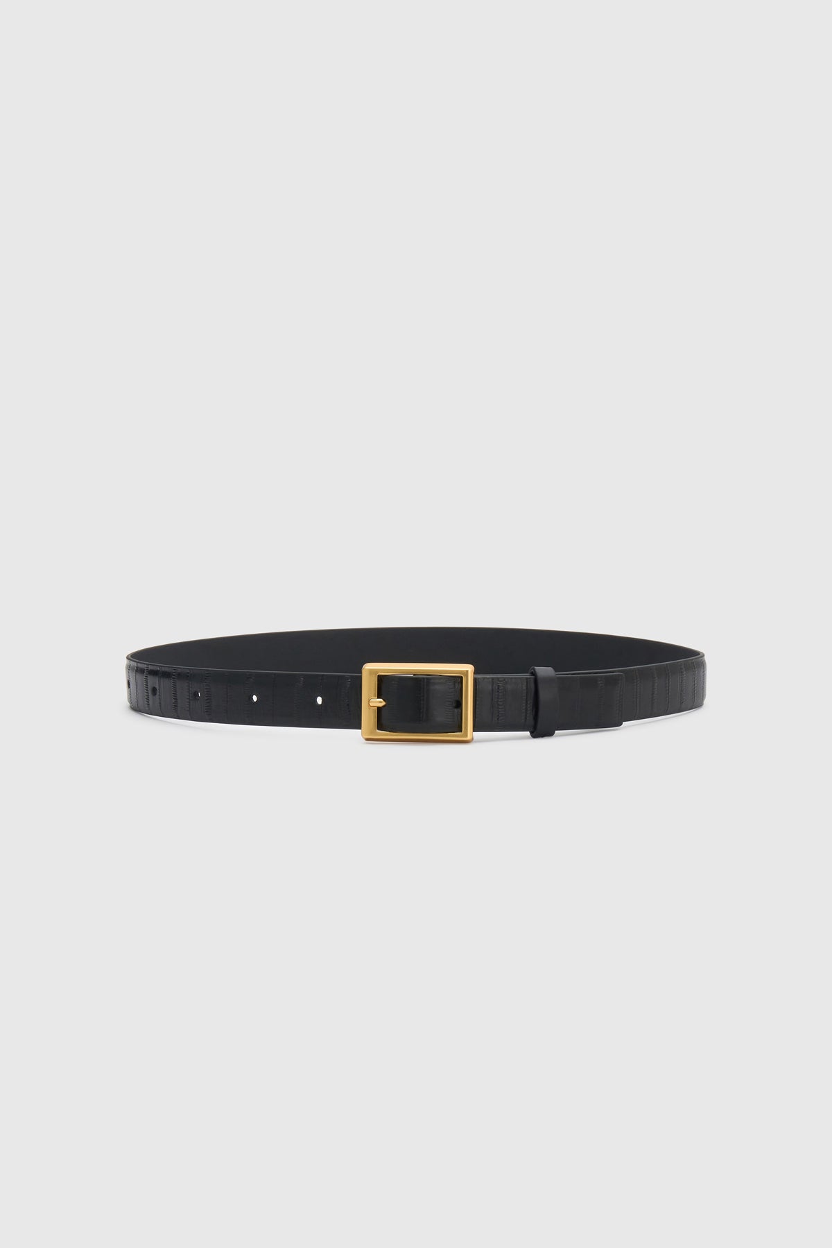 Sonny Eel Belt