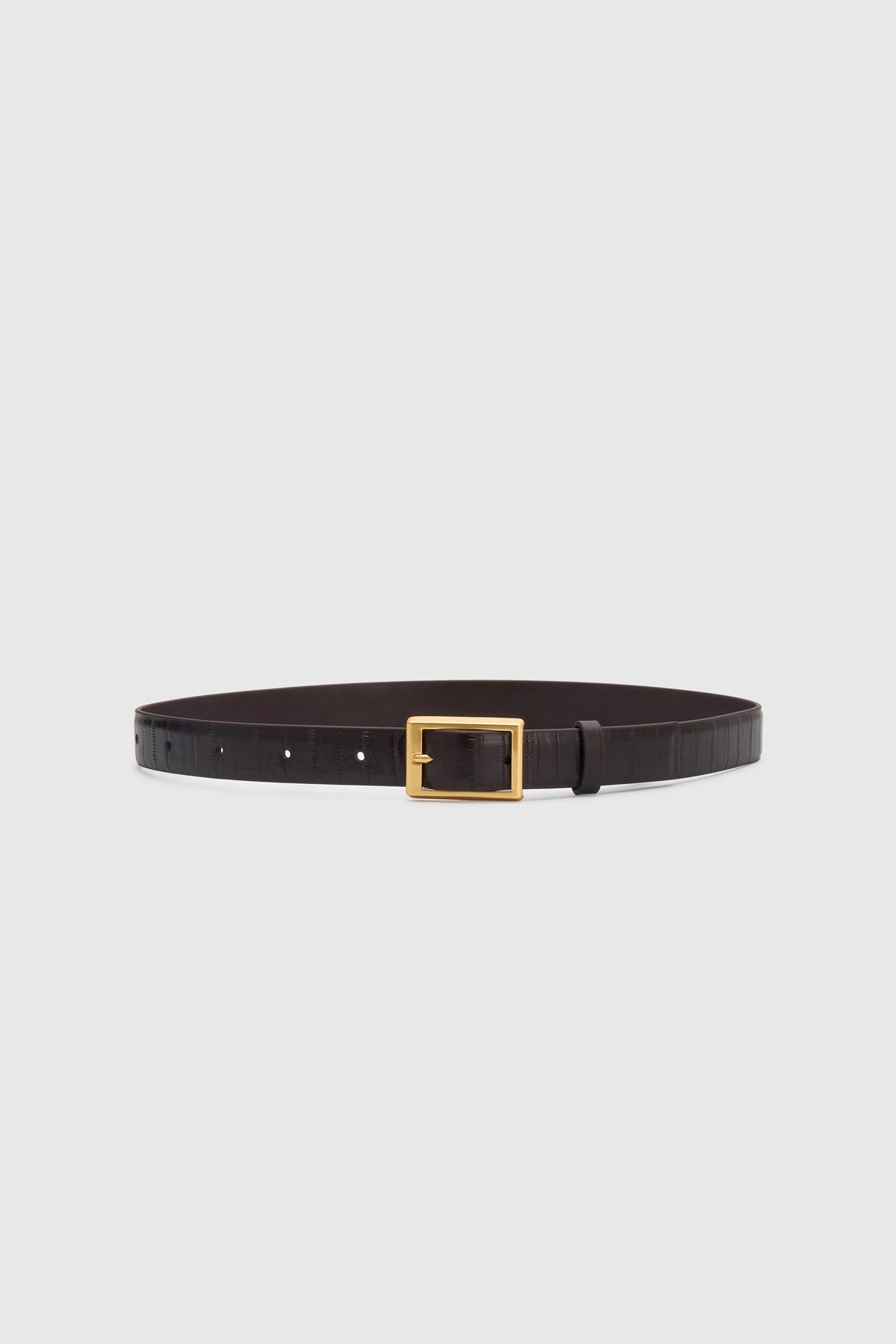 Ghost front view CAMILLA AND MARC Sonny Eel Belt in Burgundy leather with textured eel embossing.