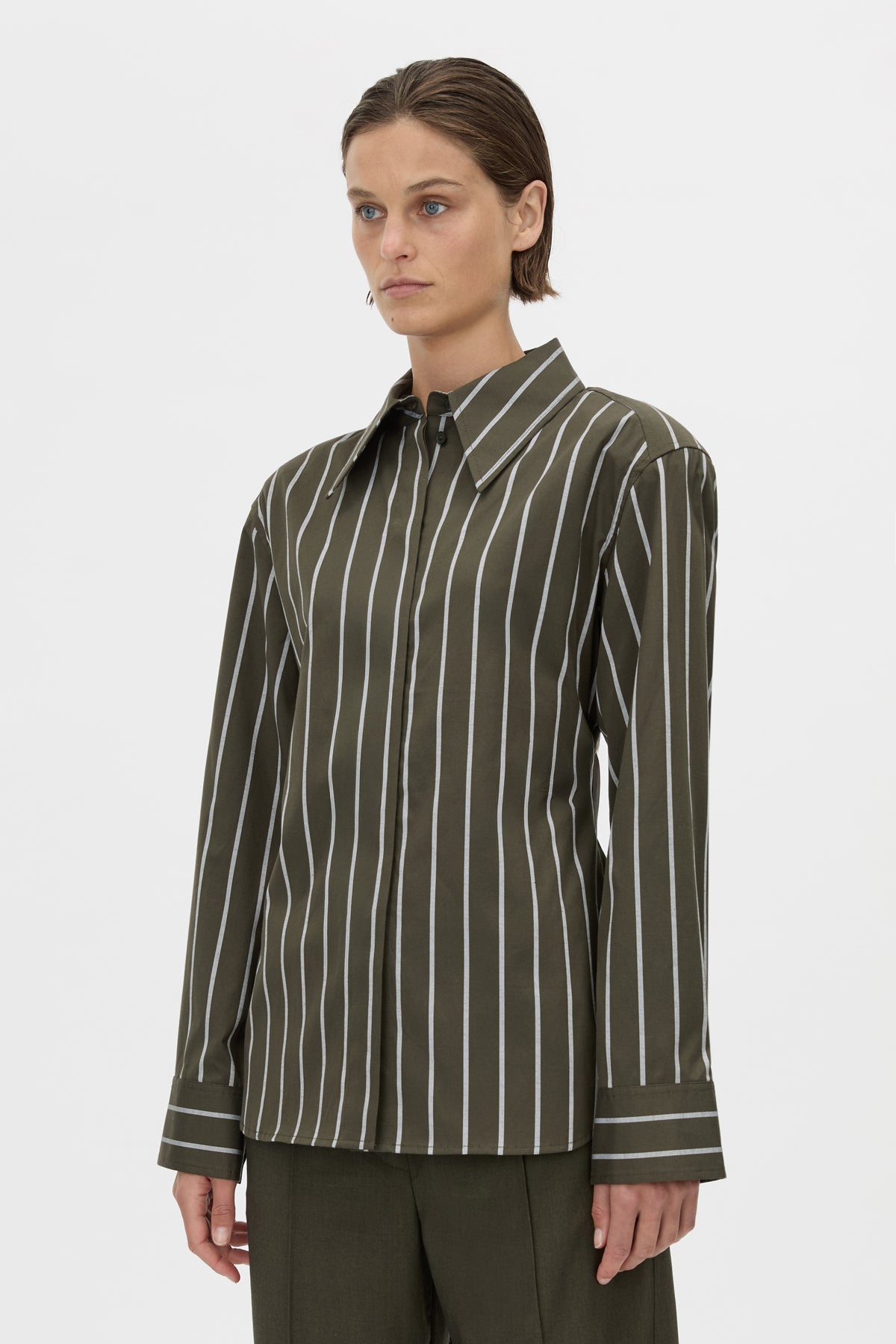 Tarn Fitted Stripe Shirt